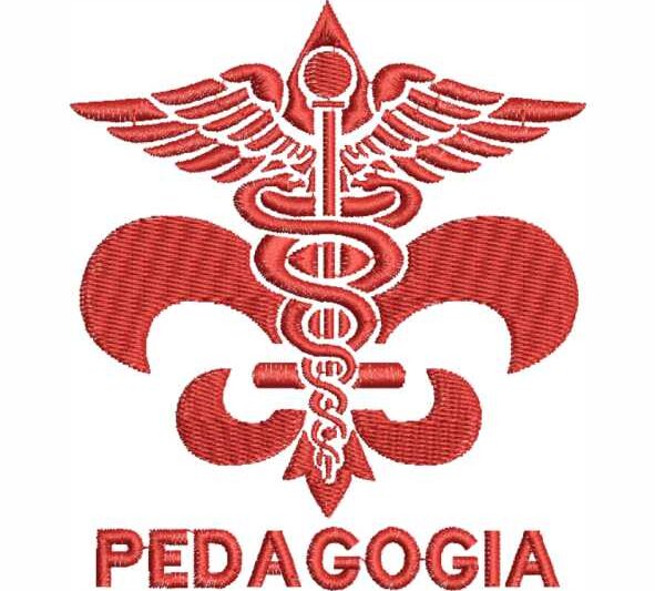 Matriz de Bordado Pedagogia 000206